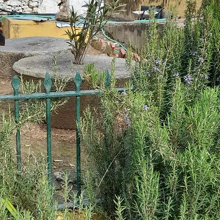 Molino Chirrion